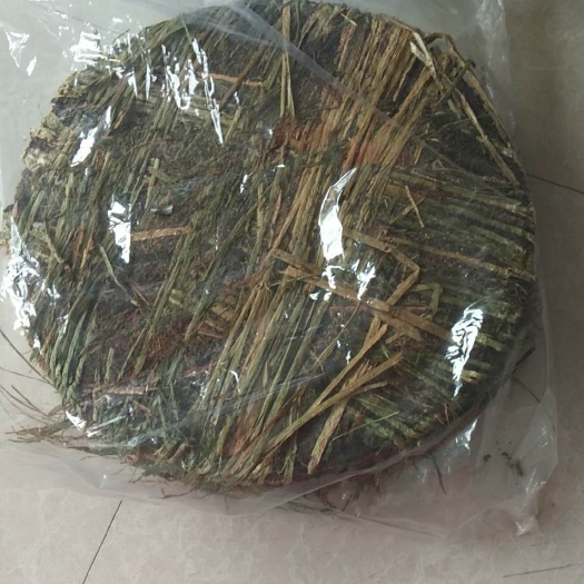 荔浦市茶枯 
