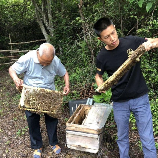 安远县土蜂蜜 98% 2年以上 桶装