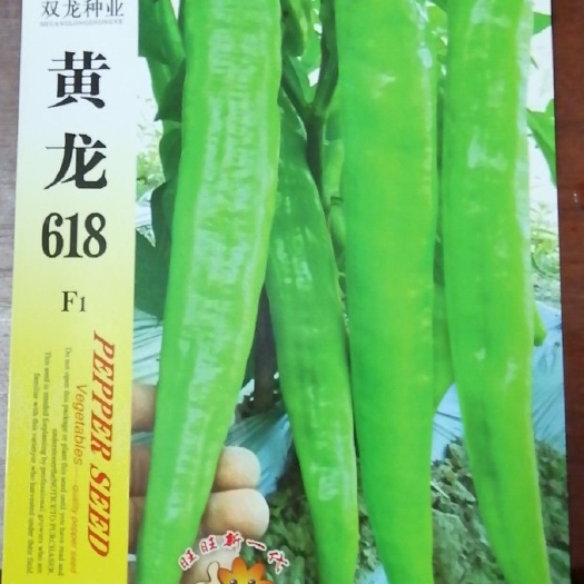 萧县尖椒种子 杂交种 ≥85% 