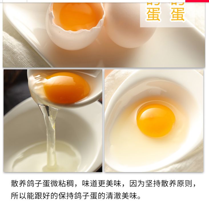 白鸽蛋 食用 礼盒装 