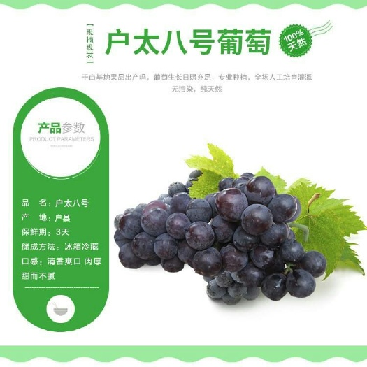 平邑县户太八号葡萄苗 