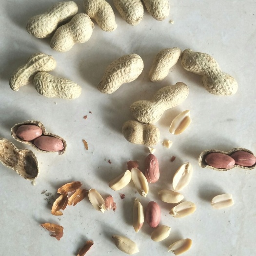 长葛市炒花生 3-6个月