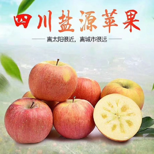 盐源县盐源苹果 80mm以上 片红 膜袋 