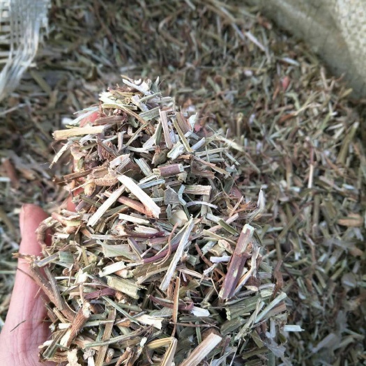 宁阳县花生秧
