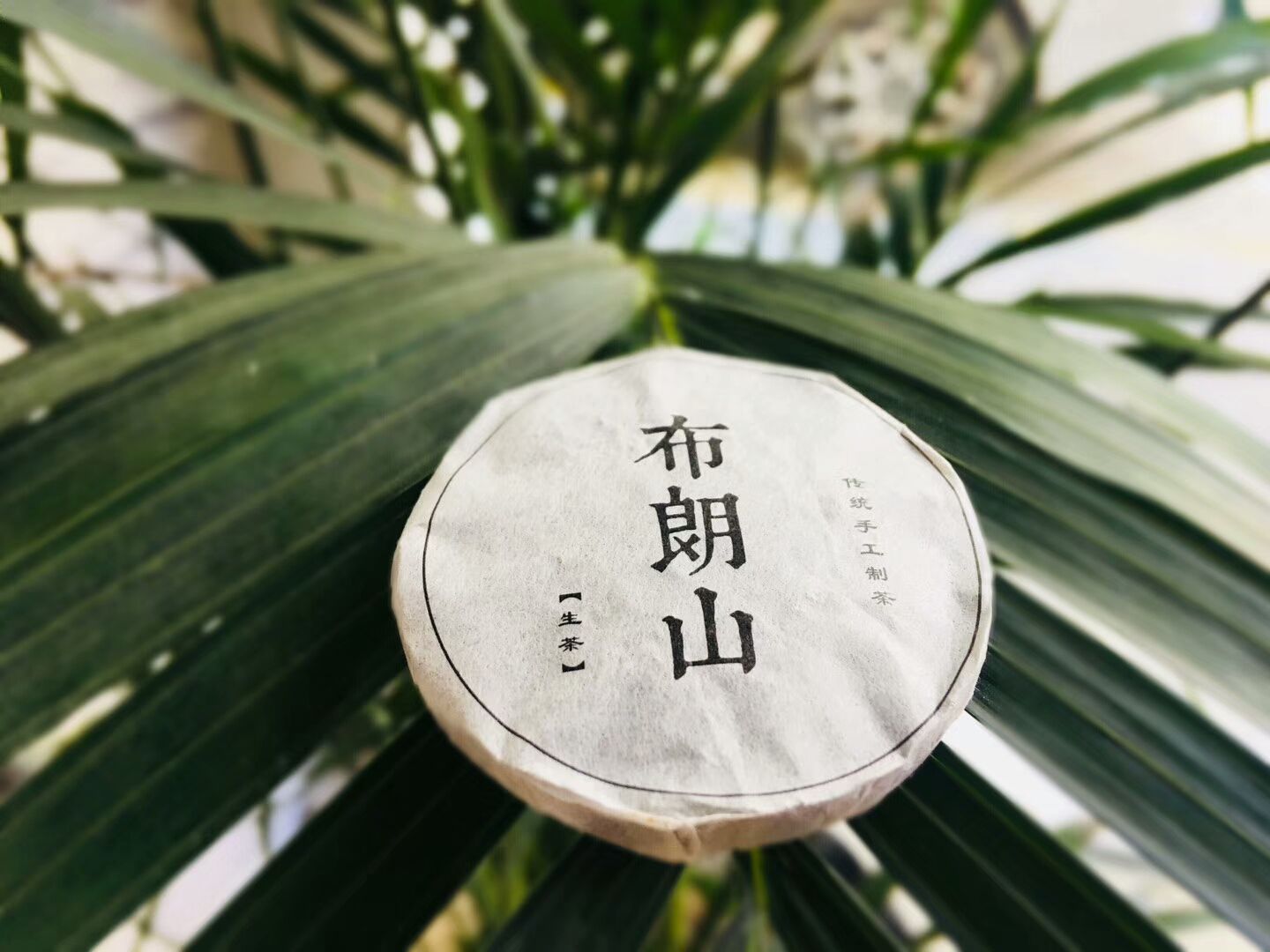 普洱生茶 特级 盒装 