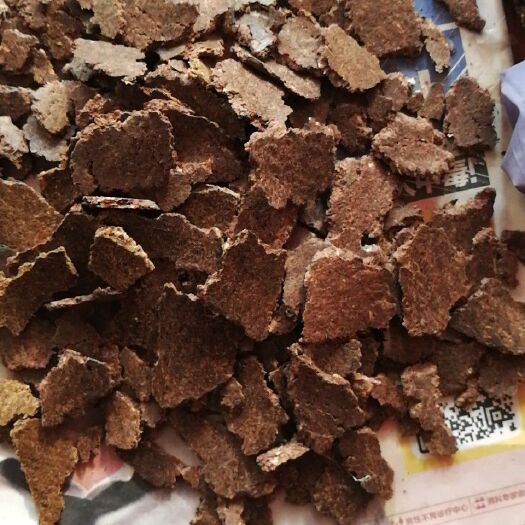 唐县陇亚10号 胡麻饼