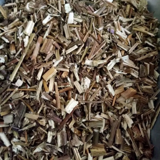 虞城县鬼针草 