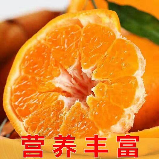 金堂县耙耙柑  货箱9.斤泡沫箱