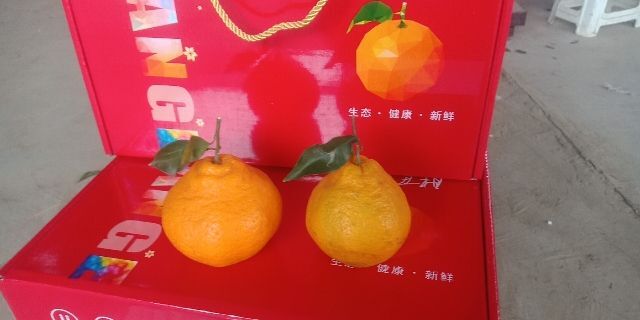 蒲江县耙耙柑 7 - 7.5cm 3两以上 
