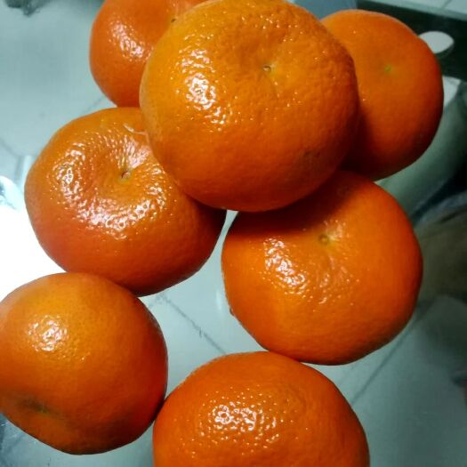 重庆市墨科特 55mm以下 4两以下 