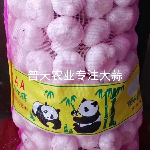 嘉祥县 金乡大蒜，世界地理标示产品