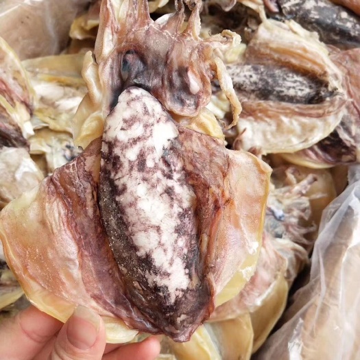 阳西县深水墨鱼 
