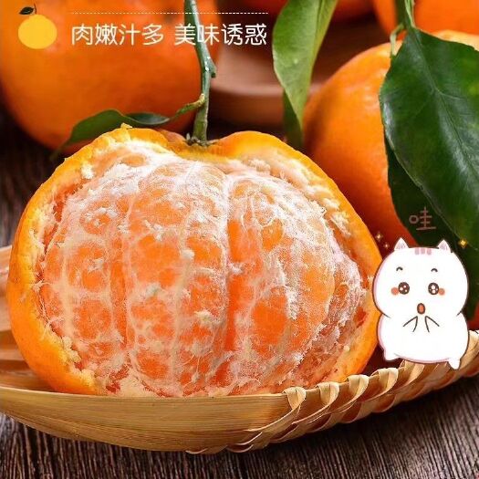 仁寿县耙耙柑 3.5 - 4cm 3两以上 