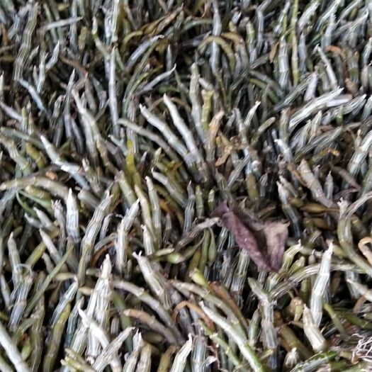 龙陵县龙陵紫皮石斛 