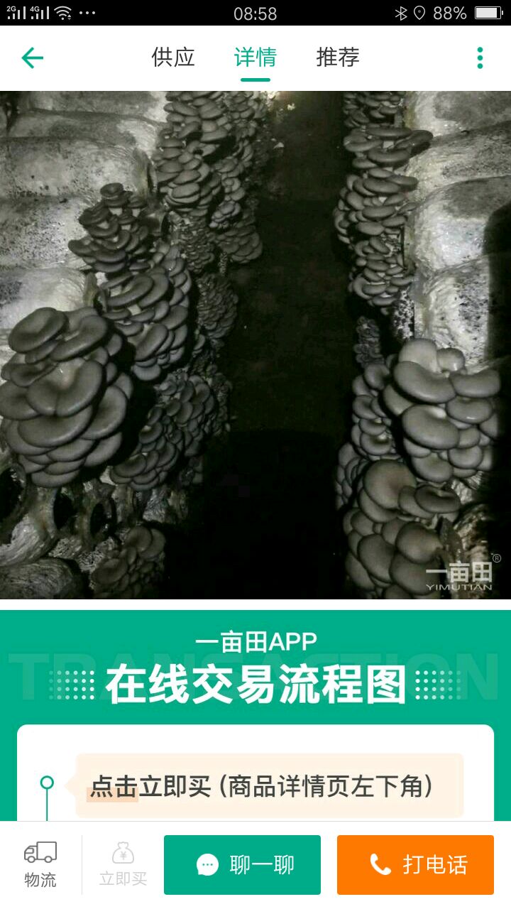 重庆金针菇菌种 