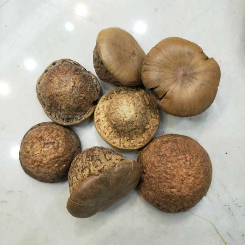 风流果 18-24个月