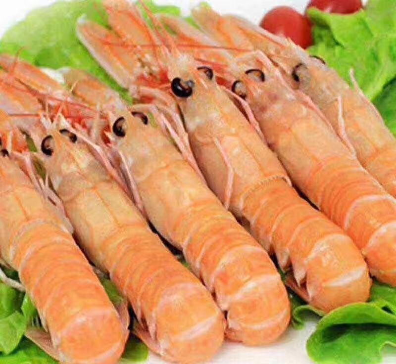 东海鳌虾 