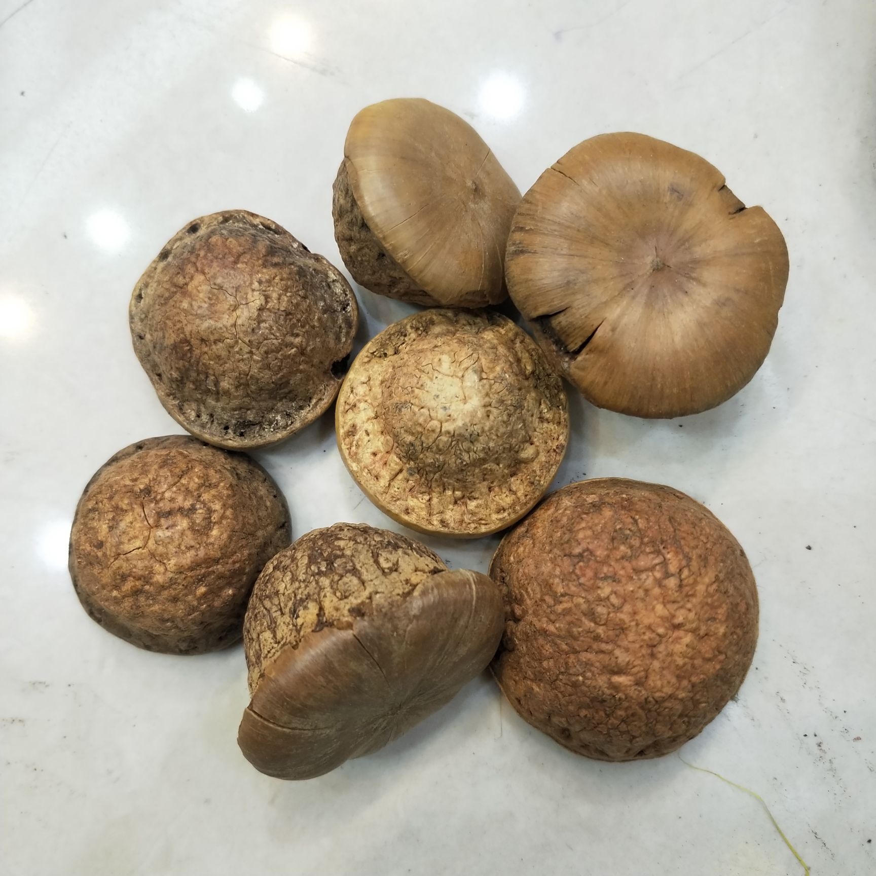 风流果 18-24个月