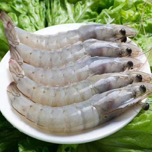 连云港 对虾，大虾，海鲜
