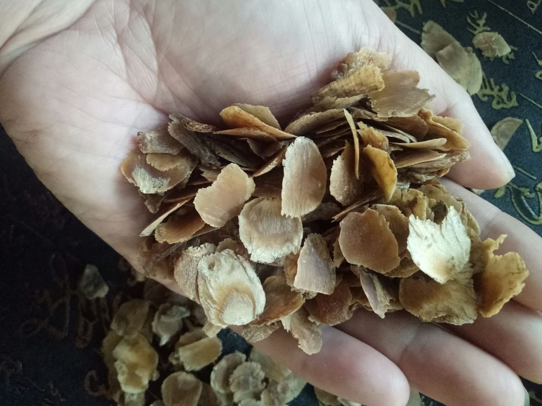 红参 片 瓶装 