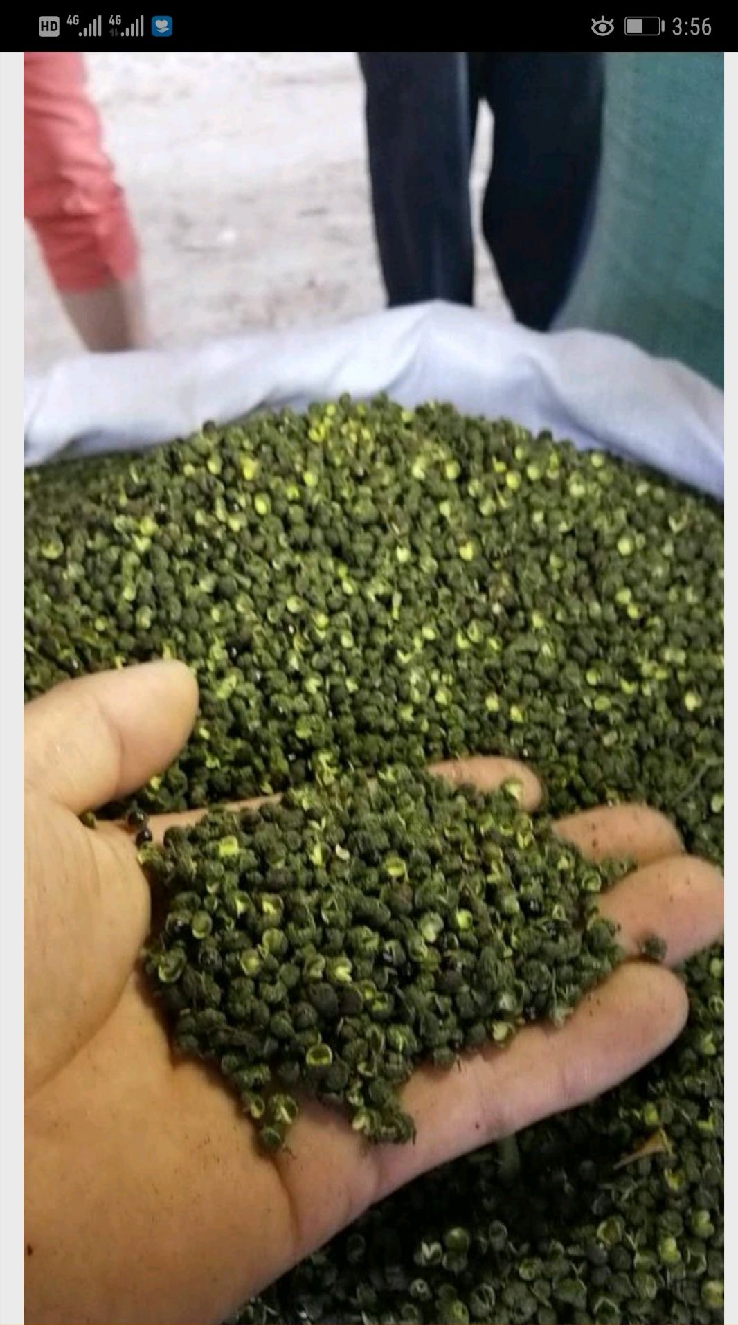 麻椒 二级 干花椒