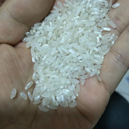 舒兰市舒兰大米 二等品 晚稻 粳米 