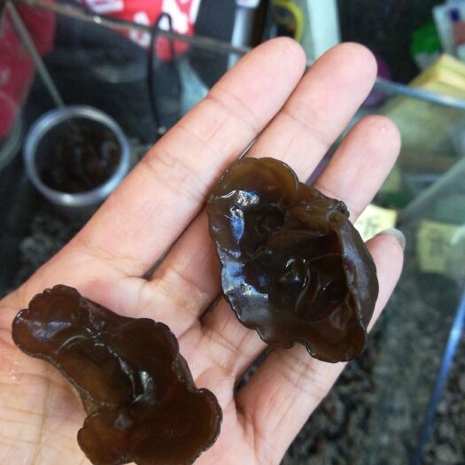 吉林市东北黑木耳 干木耳 二级 