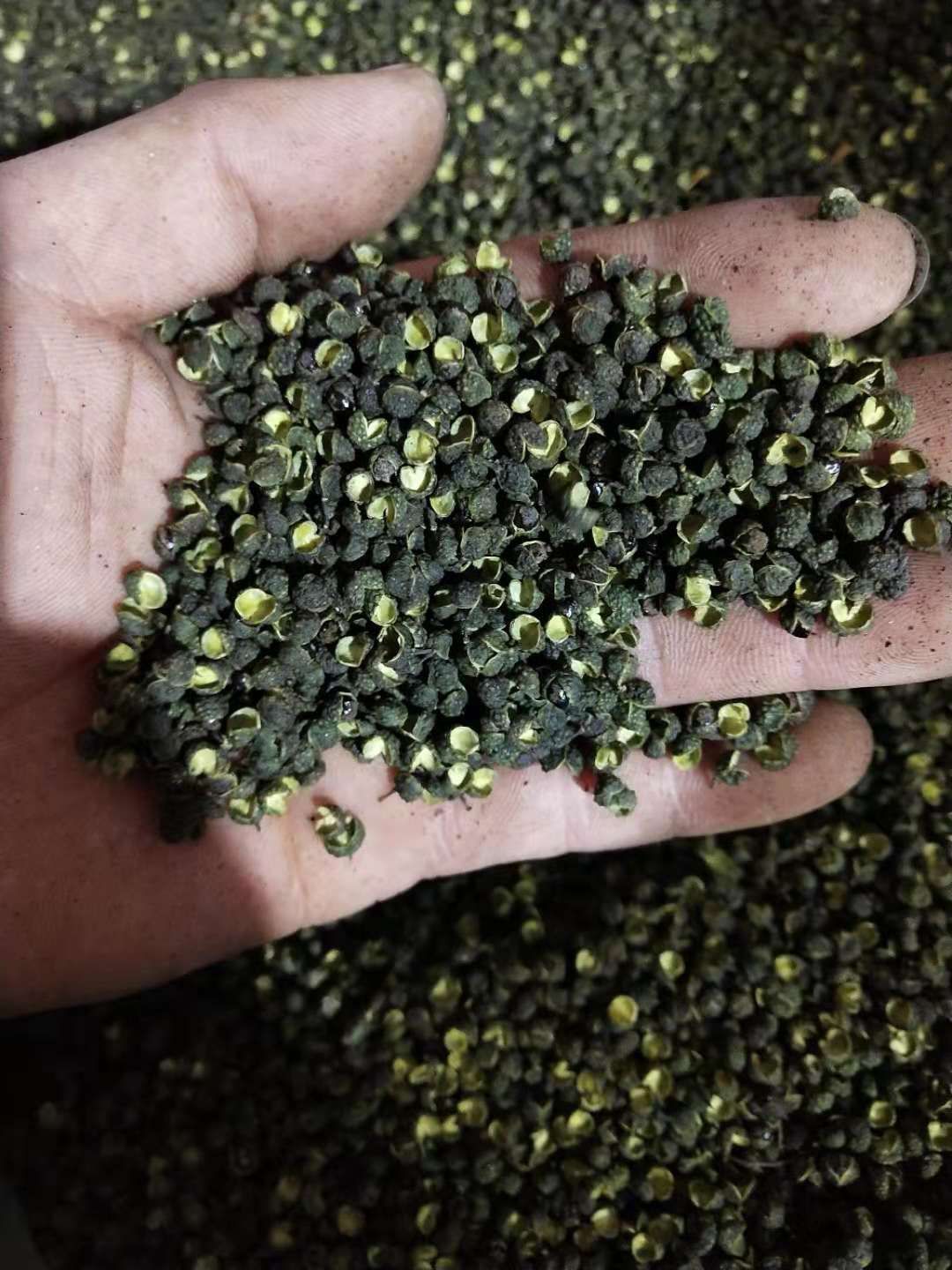 麻椒 特级 干花椒