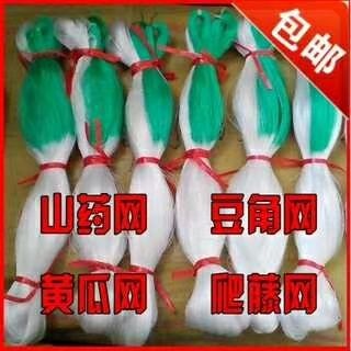 无棣县爬藤网