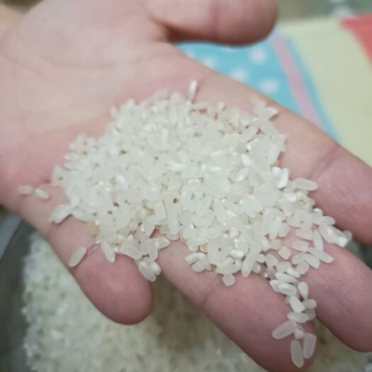 桓仁县 稻花香大米 一等品 一季稻 粳米 