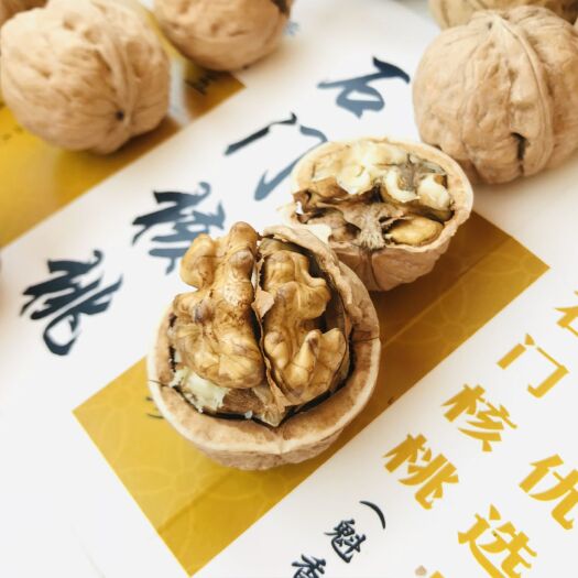 秦皇岛石门核桃 优选品种“魁香”