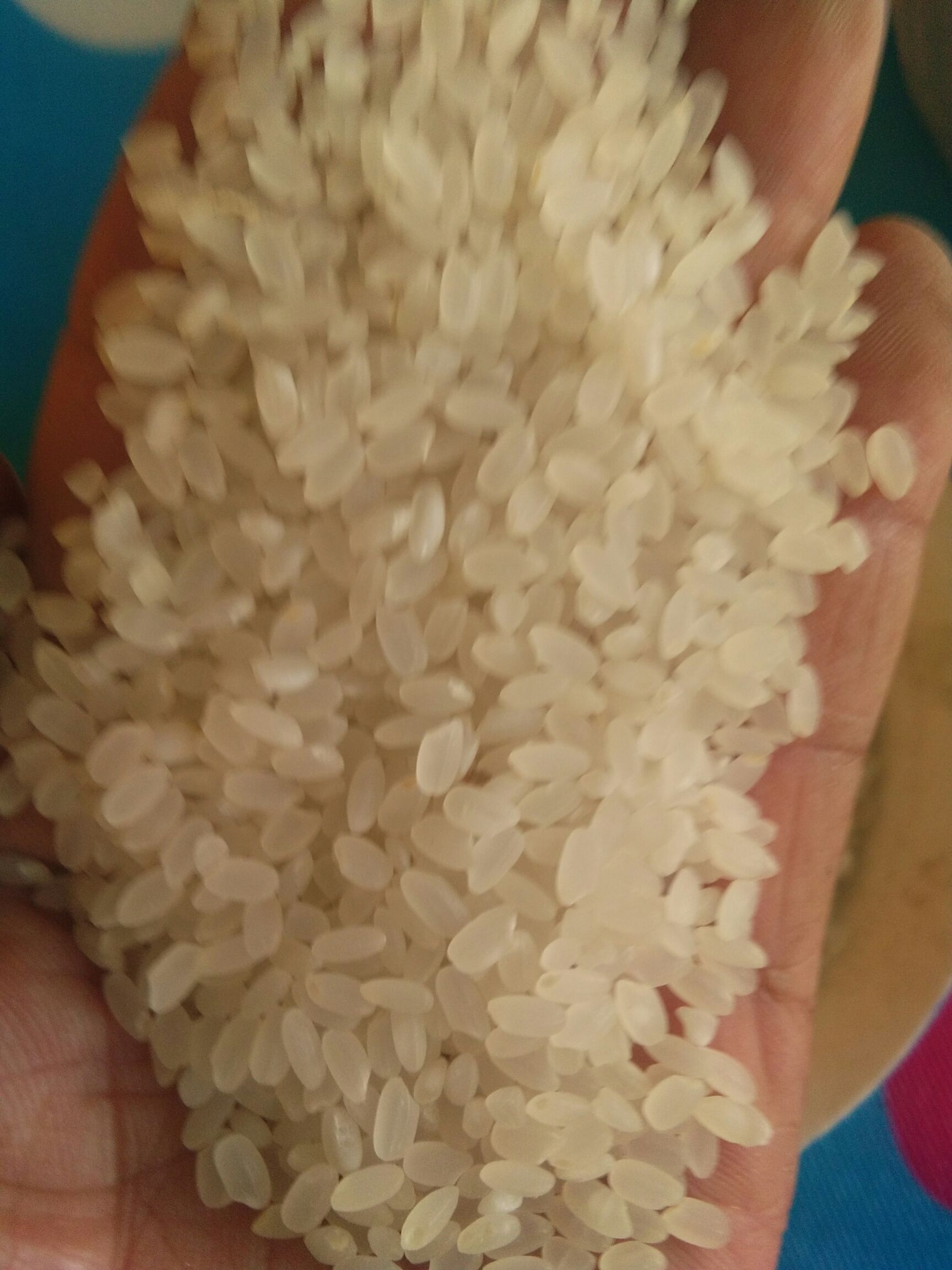  稻花香大米 一等品 一季稻 粳米 