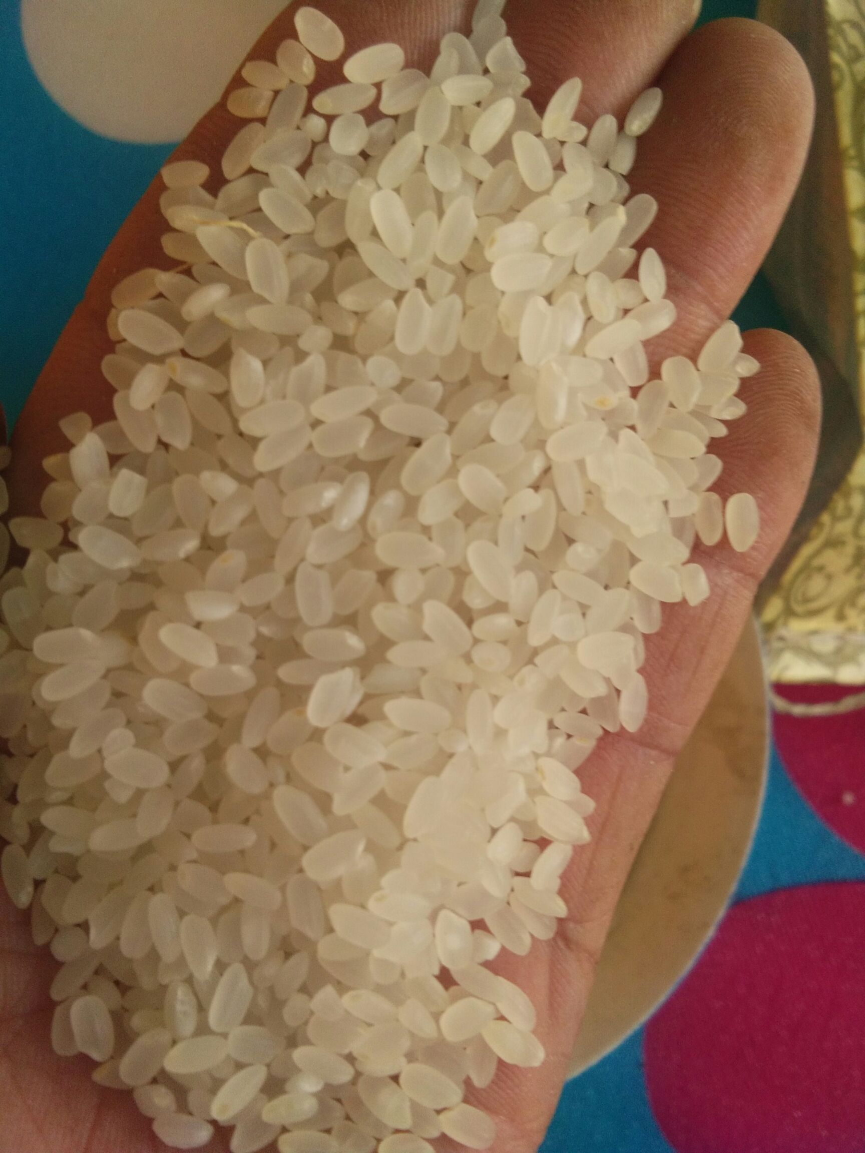  稻花香大米 一等品 一季稻 粳米 