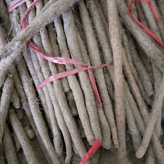 武陟县铁棍山药 70~90cm 