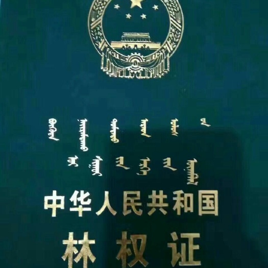 扎兰屯市生态园林 转让 30~50年 100~500亩 