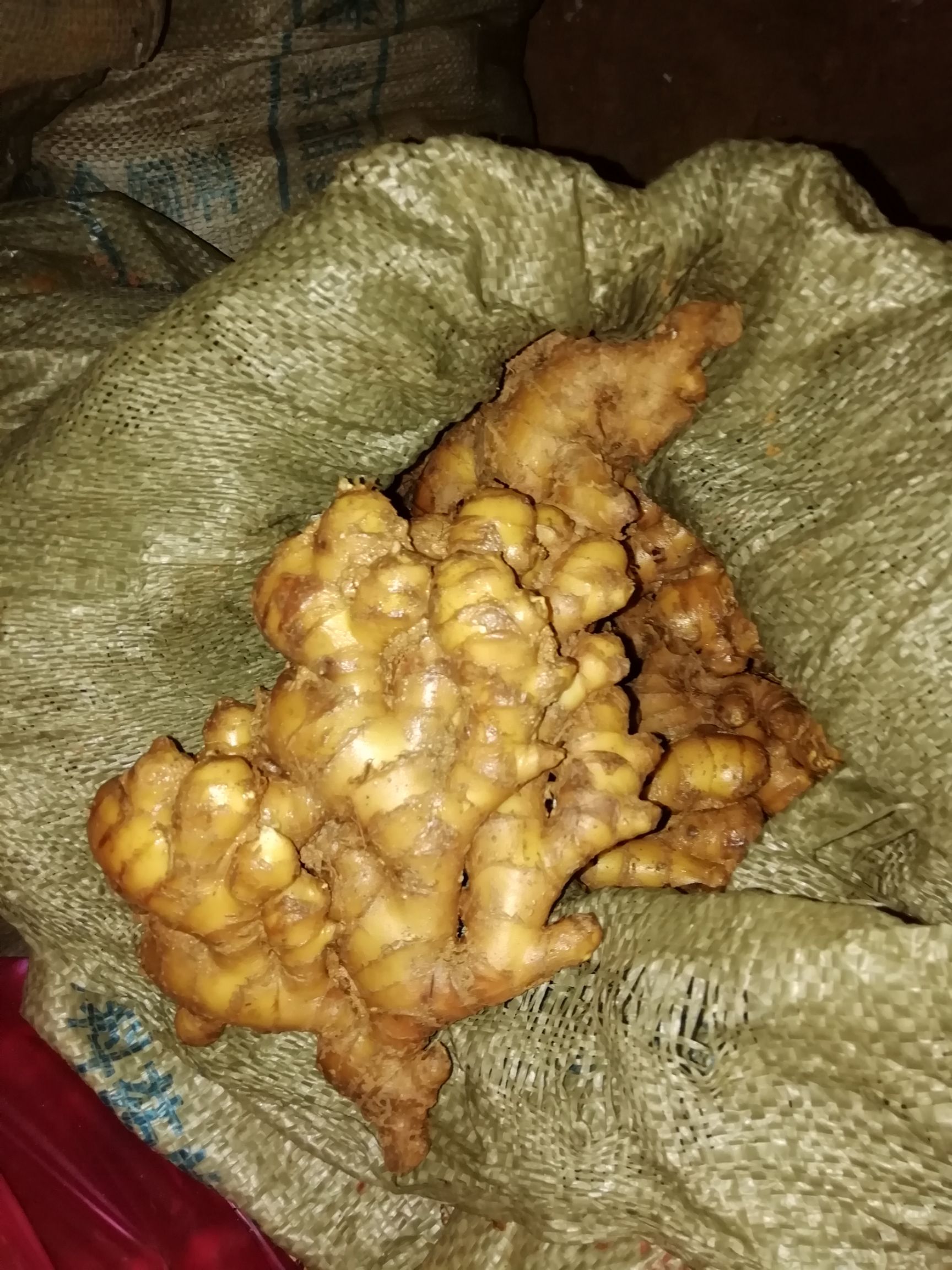 小黄姜 6两以上 带土 小黄姜