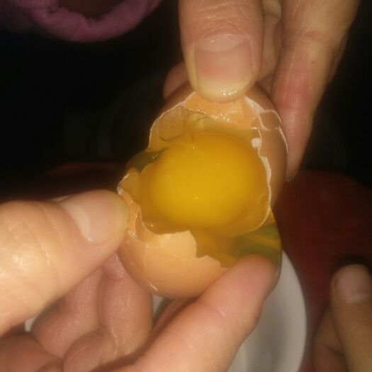 大石桥市土鸡蛋 食用 散装 
