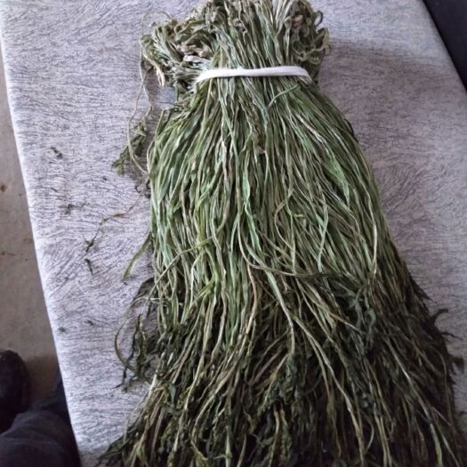 涡阳县苔干 24个月以上 