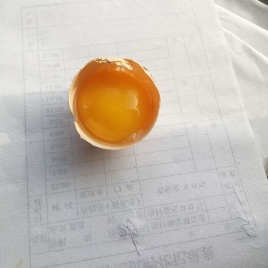 邹平市土鸡蛋 食用 箱装 