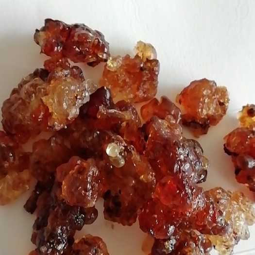 乐昌市食用桃胶 3-6个月 