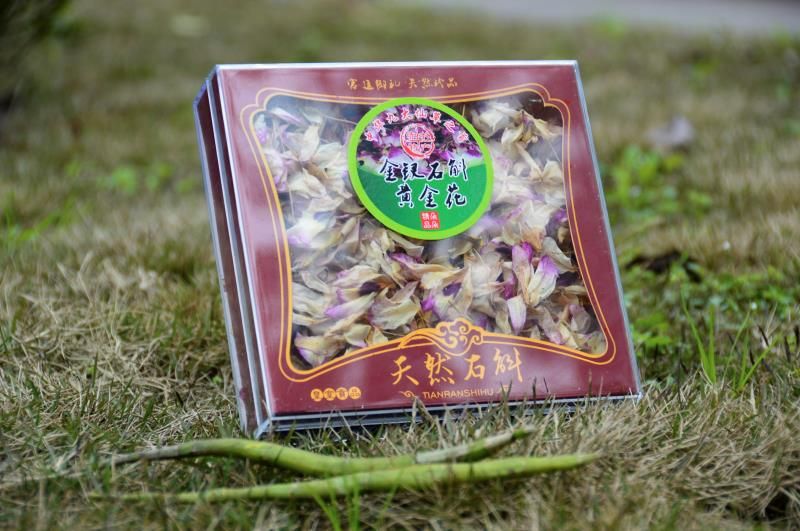 铁皮石斛  铁皮金钗石斛各类都有