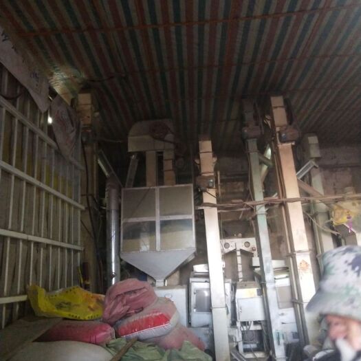 哈尔滨 稻花香大米 一等品 晚稻 粳米 