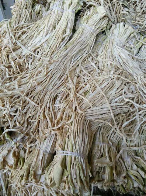 石屏县干萝卜 3-6个月 