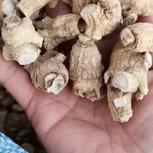 抚松县种植参 3-5克小粒头