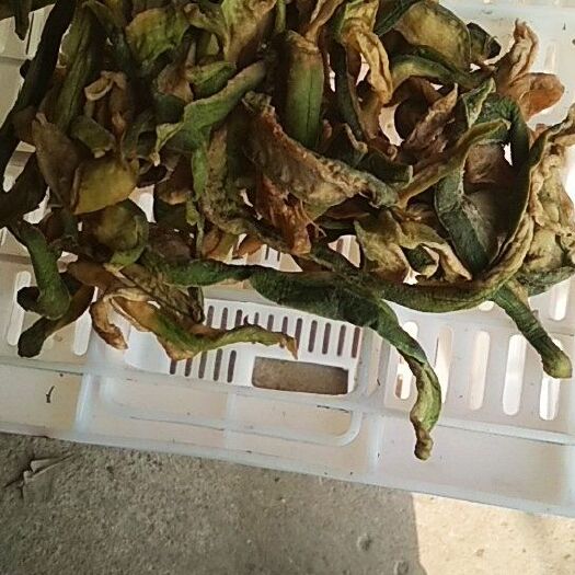 淮南腌萝卜干