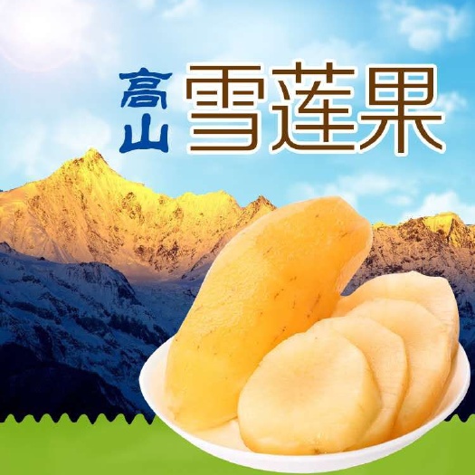 2024年新鲜天山雪莲果，单果150克一650克