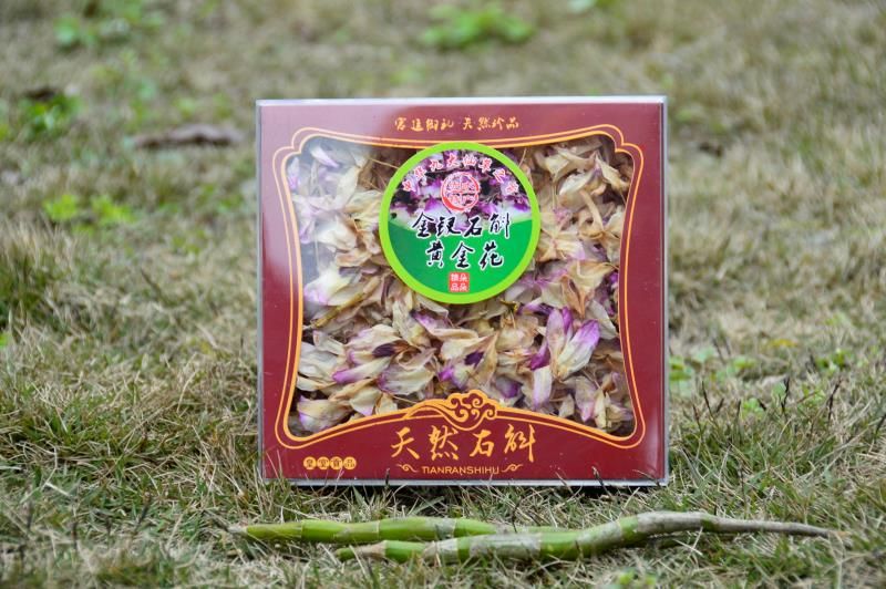 铁皮石斛  铁皮金钗石斛各类都有