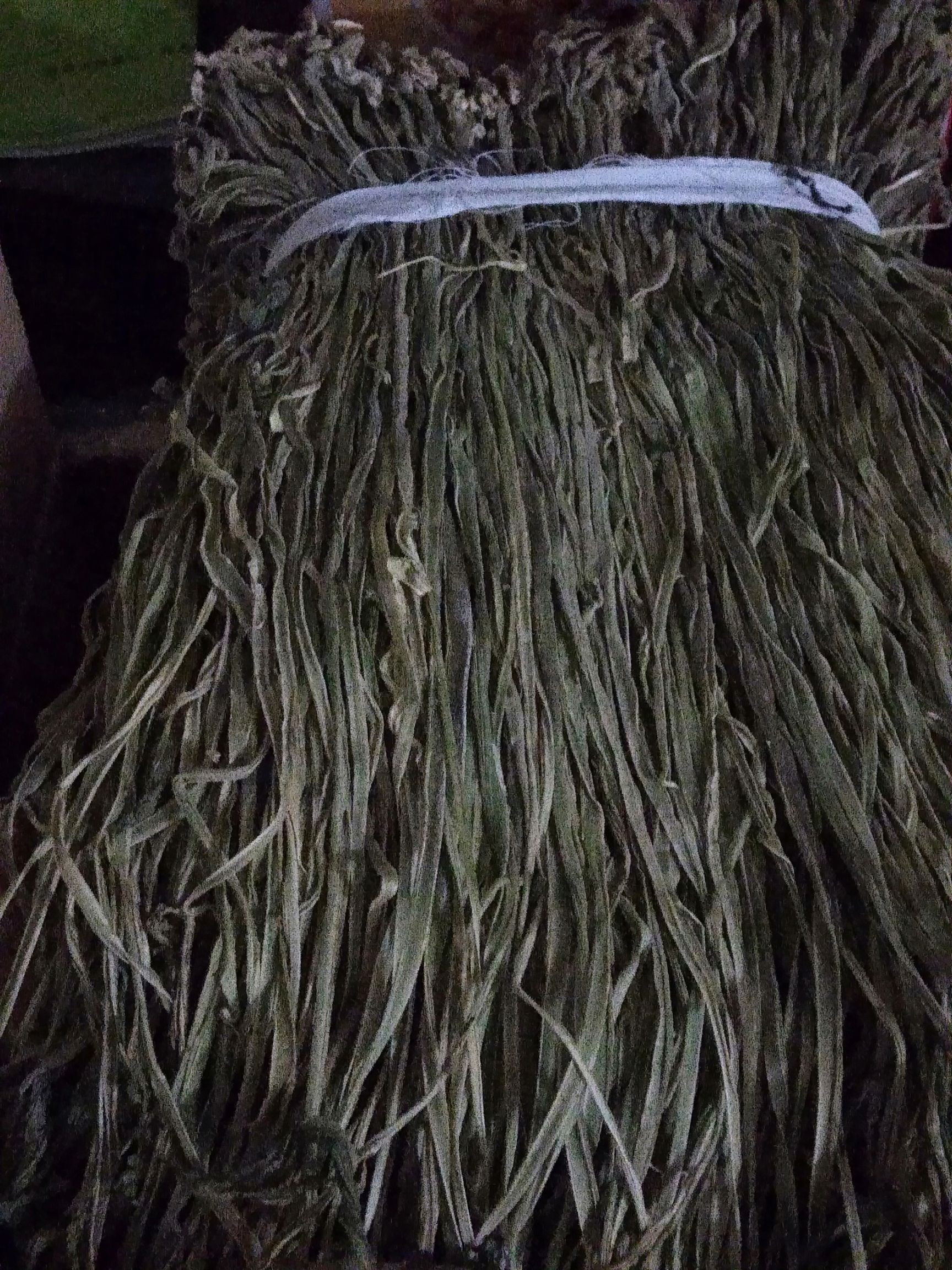 苔干 2-3个月 