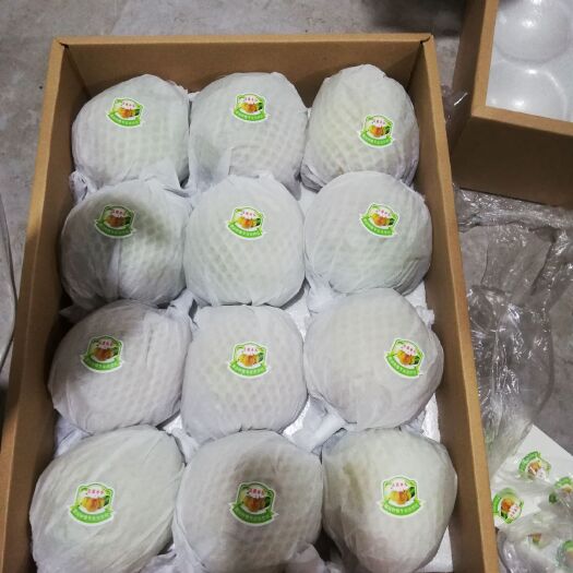 原平市酥梨 65mm以上 150-200g 