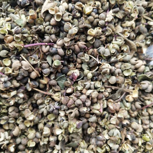 东港市 东北野生緑花椒，纯绿色食品，无化肥，无农药